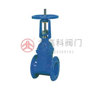 Z45X-10、Z45X-16 彈性座封閘閥